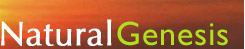 Natural Genesis (logo text)